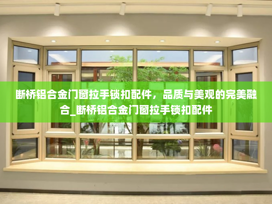 断桥铝合金门窗拉手锁扣配件，品质与美观的完美融合_断桥铝合金门窗拉手锁扣配件
