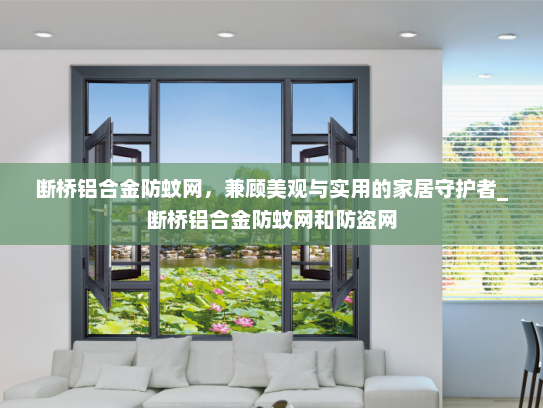 断桥铝合金防蚊网，兼顾美观与实用的家居守护者_断桥铝合金防蚊网和防盗网