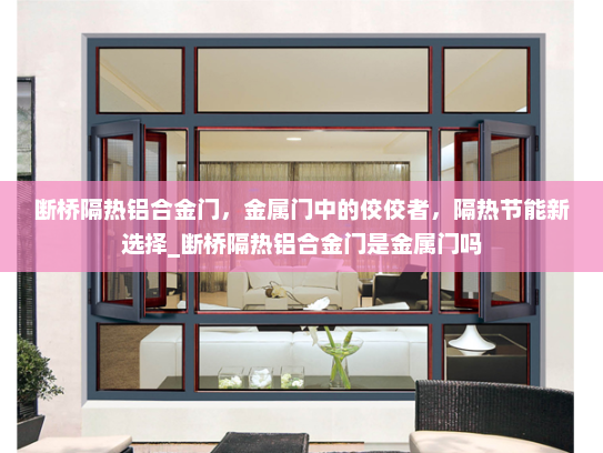 断桥隔热铝合金门，金属门中的佼佼者，隔热节能新选择_断桥隔热铝合金门是金属门吗
