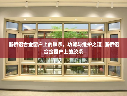 断桥铝合金窗户上的胶条，功能与维护之道_断桥铝合金窗户上的胶条